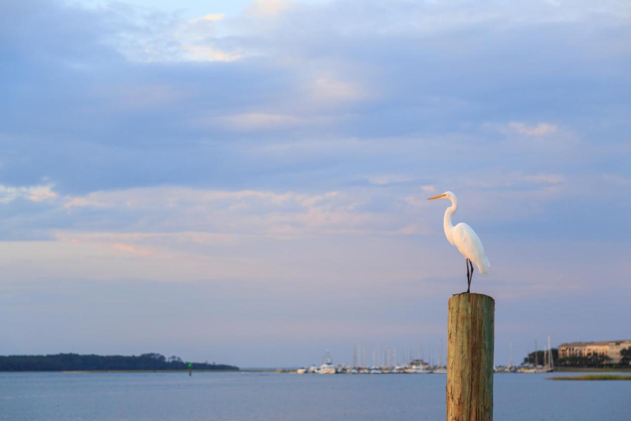 Breakers 215 Lägenhet Hilton Head Island Exteriör bild
